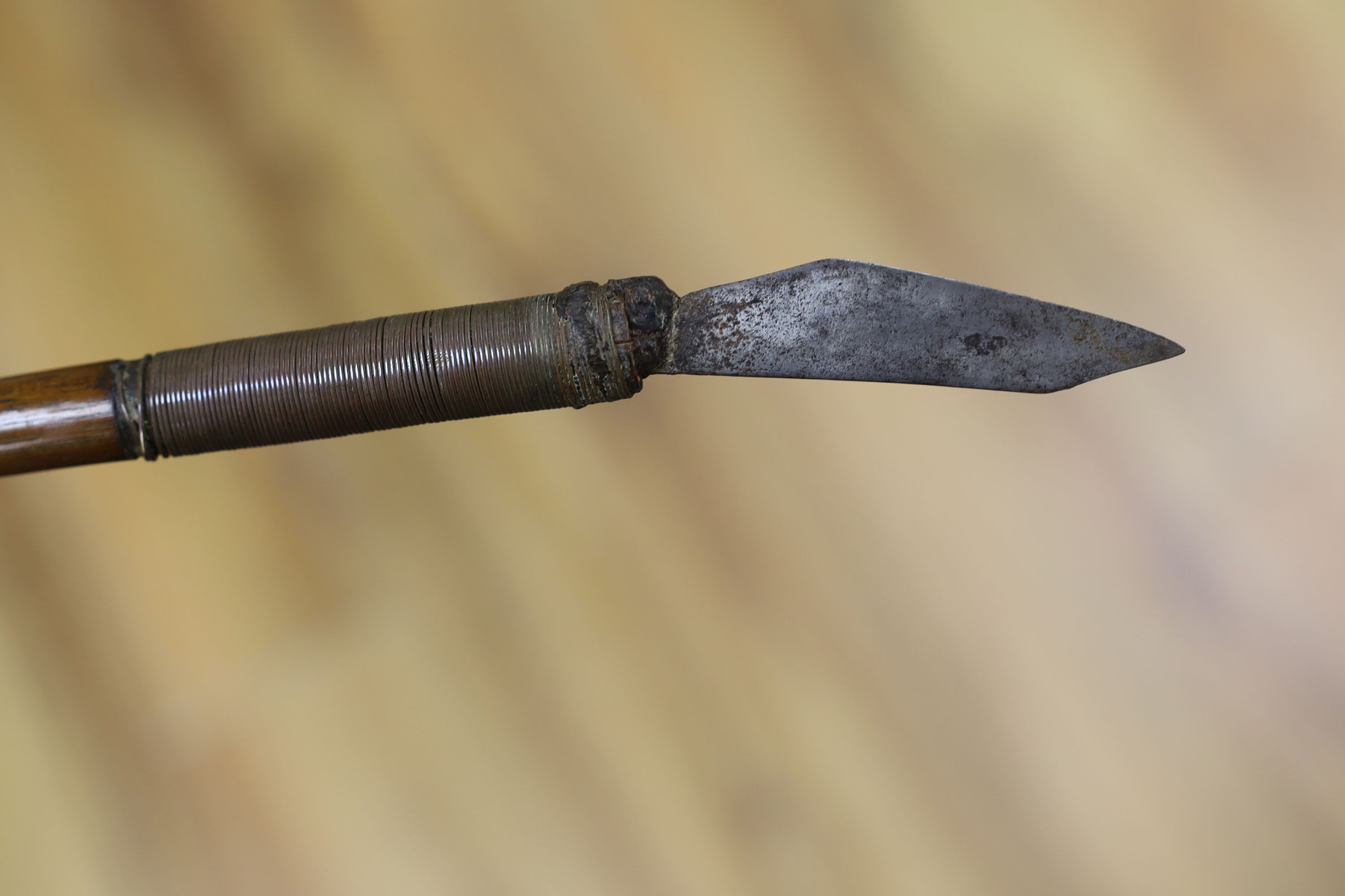 A Borneo 'headhunter's sword', a bone carving and feather swot (3), sword 77 cm long